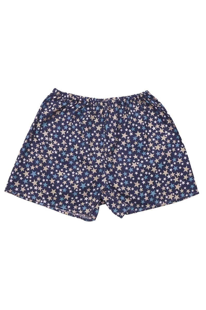 Мужские трусы хлопковые Эко (ГОС) (7120-5) цв. 012