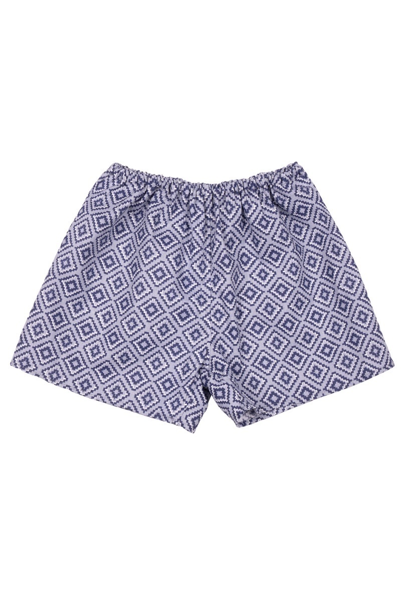 Мужские трусы хлопковые Эко (ГОС) (12030-3) цв. 019