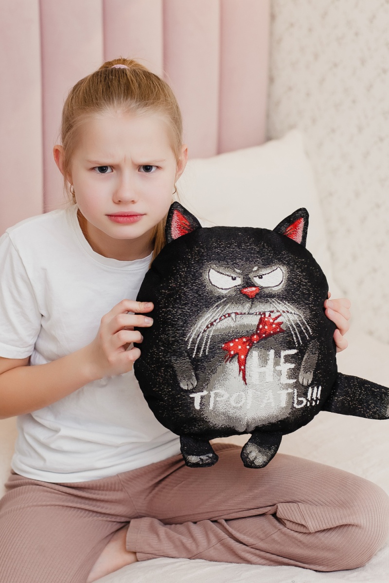 Подушка декоративная игрушка Кот обнимашка 27*27 (черный)