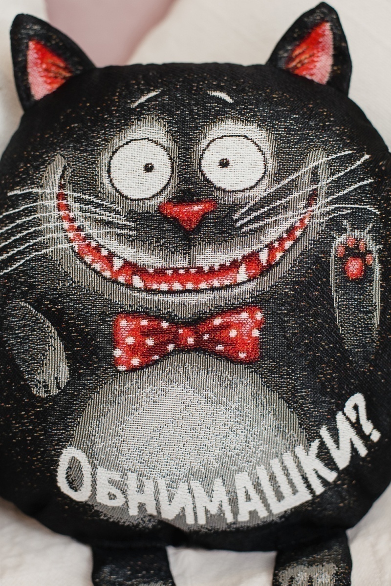 Подушка декоративная игрушка Кот обнимашка 27*27 (черный)