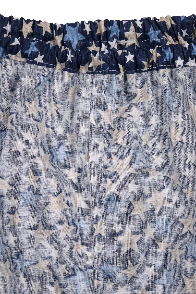 Мужские трусы хлопковые Эко (ГОС) (7120-5) цв. 012