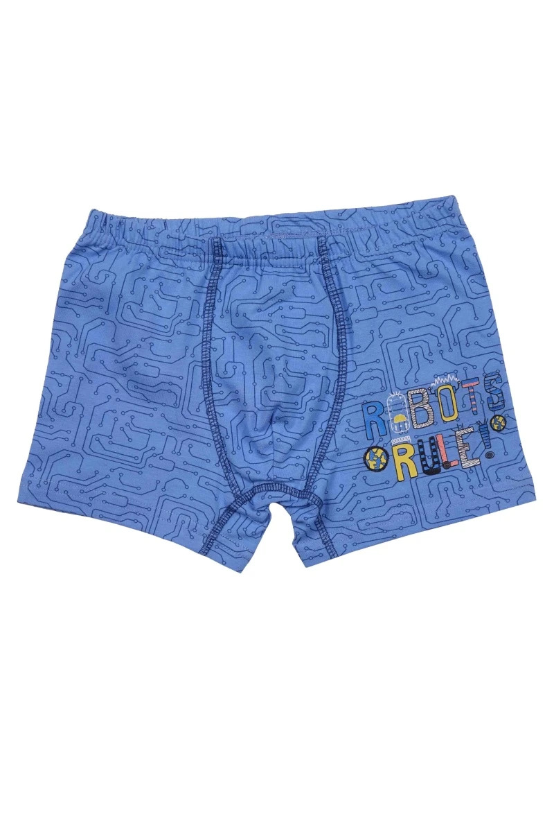 Трусы детские для мальчиков BK1685T голубой