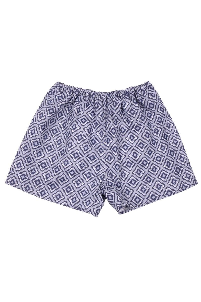 Мужские трусы хлопковые Эко (ГОС) (12030-3) цв. 019