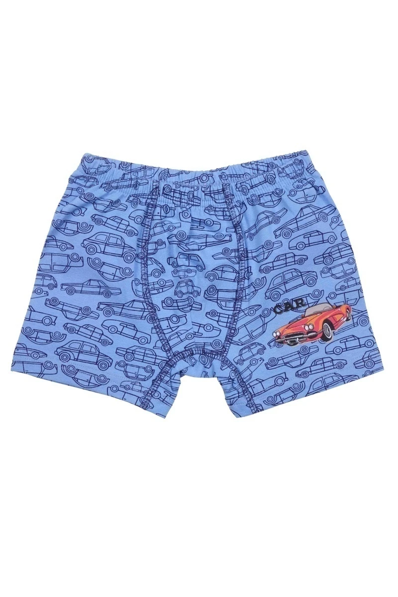 Трусы детские для мальчиков BK1686T голубой