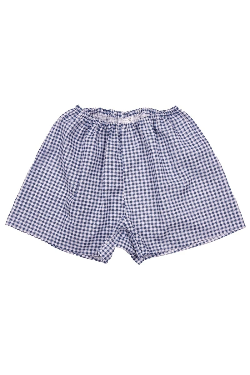 Мужские трусы хлопковые Эко (СФ) цв. 002