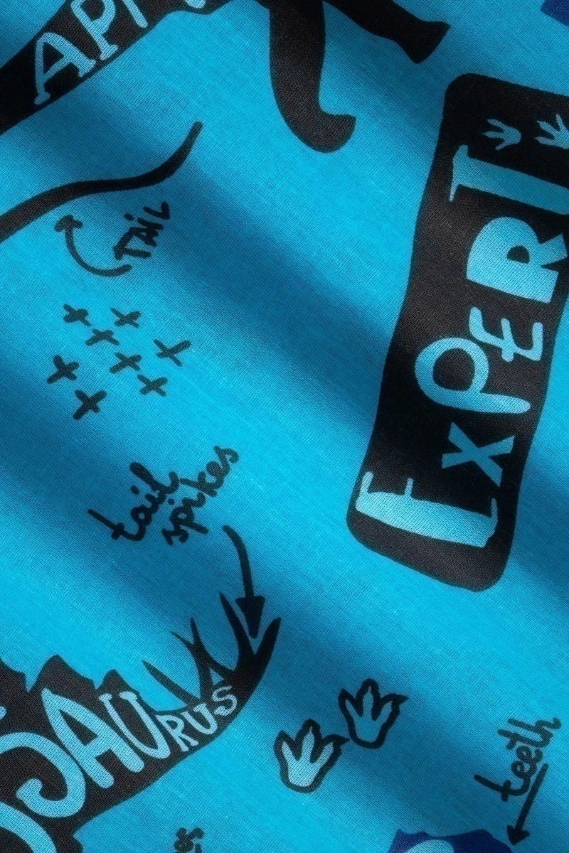 1 + 2 Пододеяльник и 2 наволочки бязь "ТЛ-Динозавры" (серо-голубой), 145х215, 50х70 см_