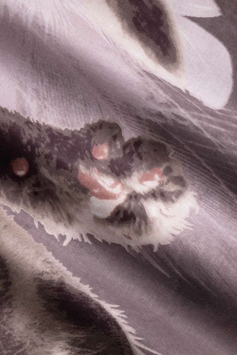 1 + 2 Пододеяльник и 2 наволочки перкаль "Пушистый привет", 70х70 см (на пуговицах)