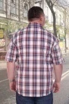 Рубашка 46002 (ассорти)
