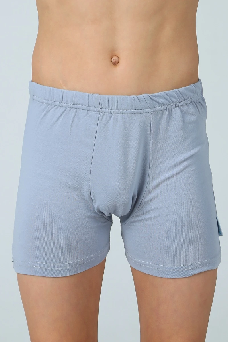 Трусы KR-ТР-1103 комплект 2 шт (серый)