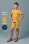 Футболка 11718 2шт (синий+горчичный)