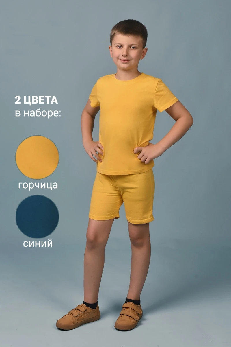 Футболка 11718 2шт (синий+горчичный)