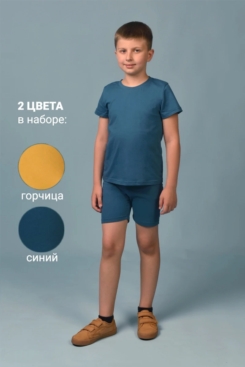 Футболка 11718 2шт (синий+горчичный)
