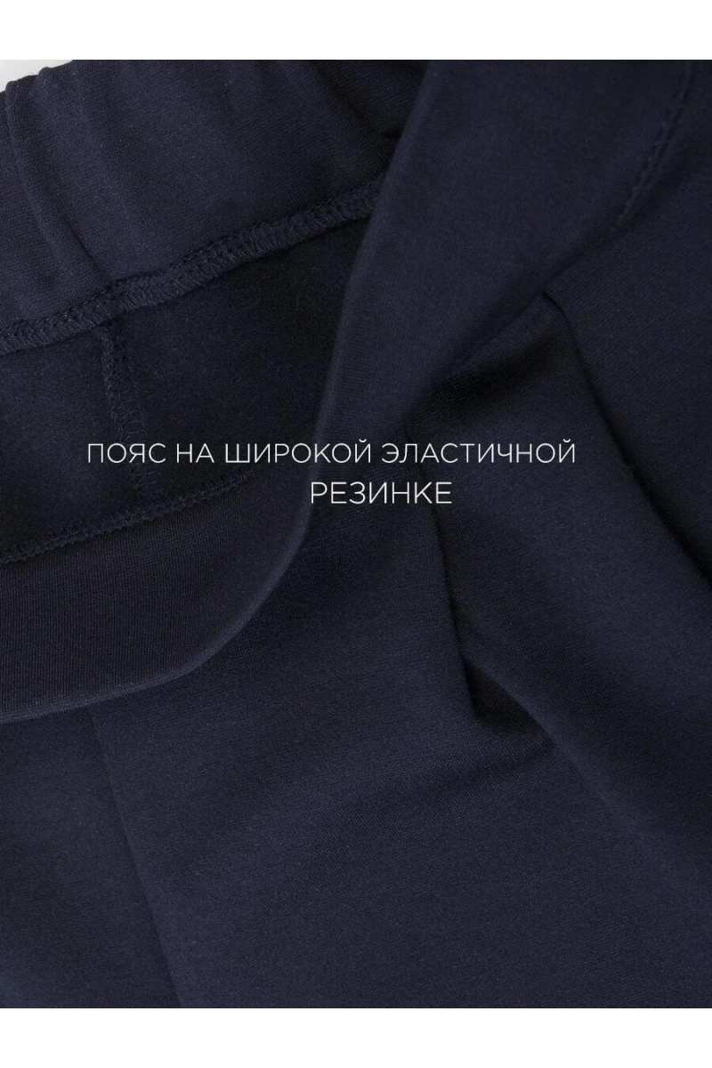 Брюки утепленные SP2716 (темно-синий)
