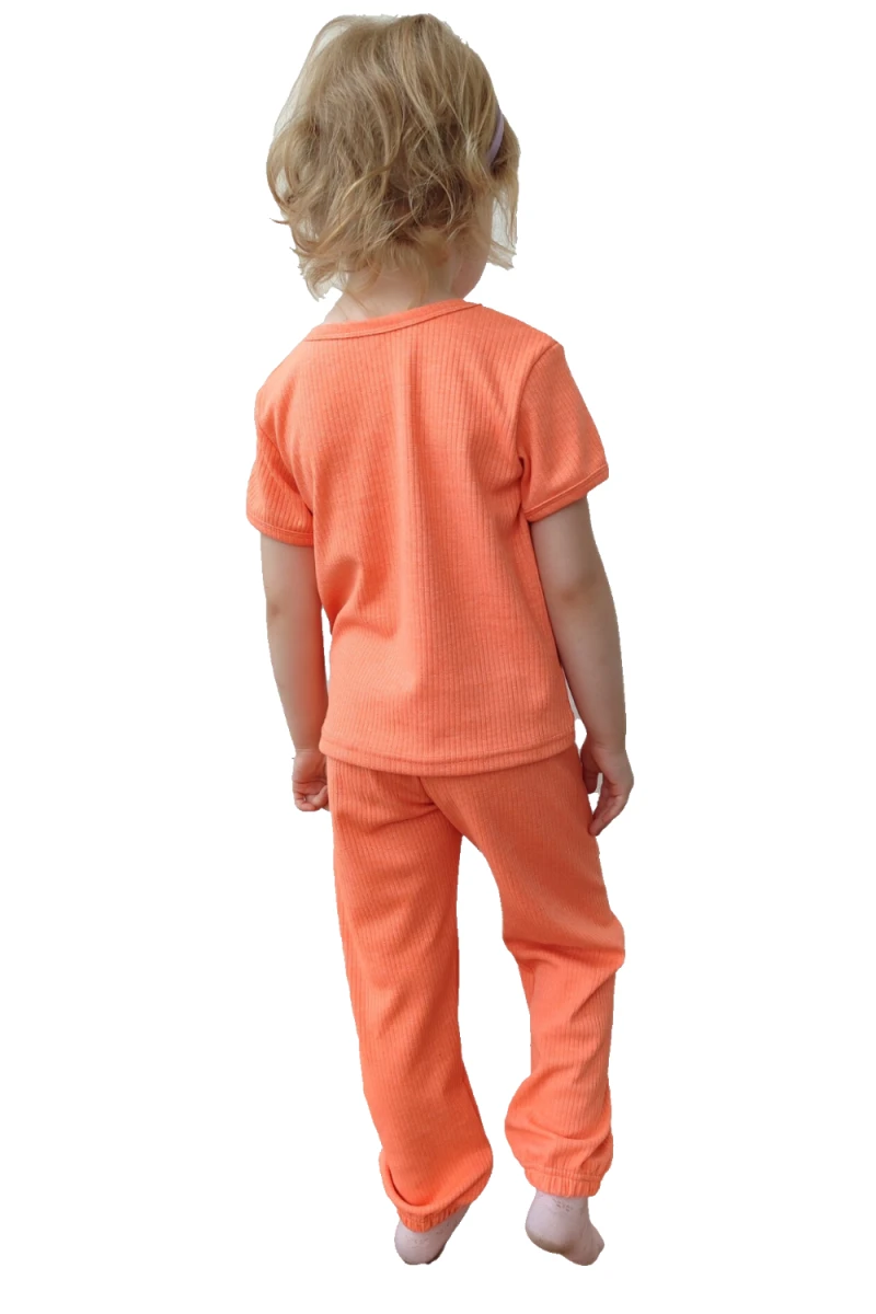 Костюм с брюками ДС 33052 Пружинка (оранжевый)