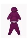 Костюм с брюками футер начёс Малинка 20338 (сливовый)