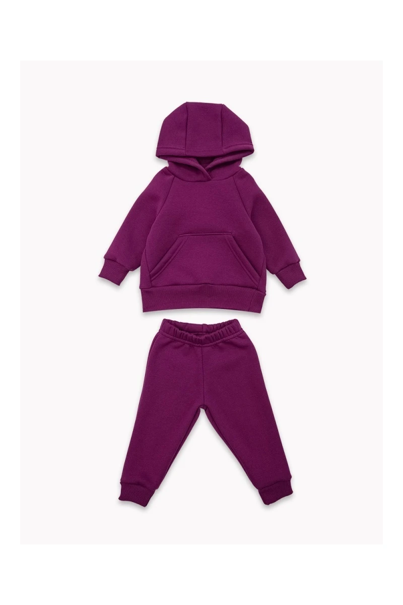 Костюм с брюками футер начёс Малинка 20338 (сливовый)