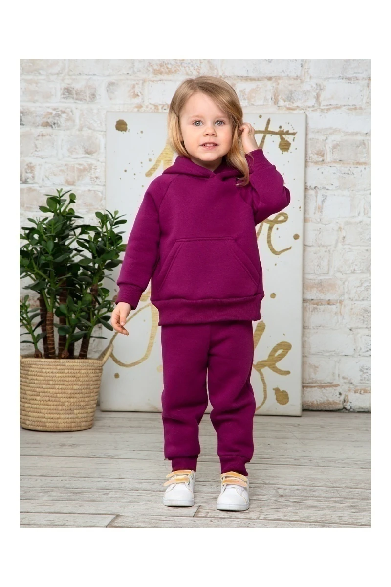 Костюм с брюками футер начёс Малинка 20338 (сливовый)