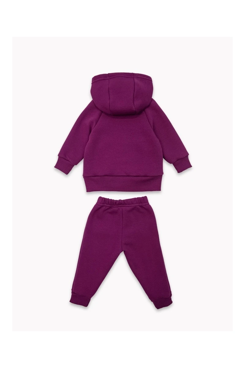 Костюм с брюками футер начёс Малинка 20338 (сливовый)