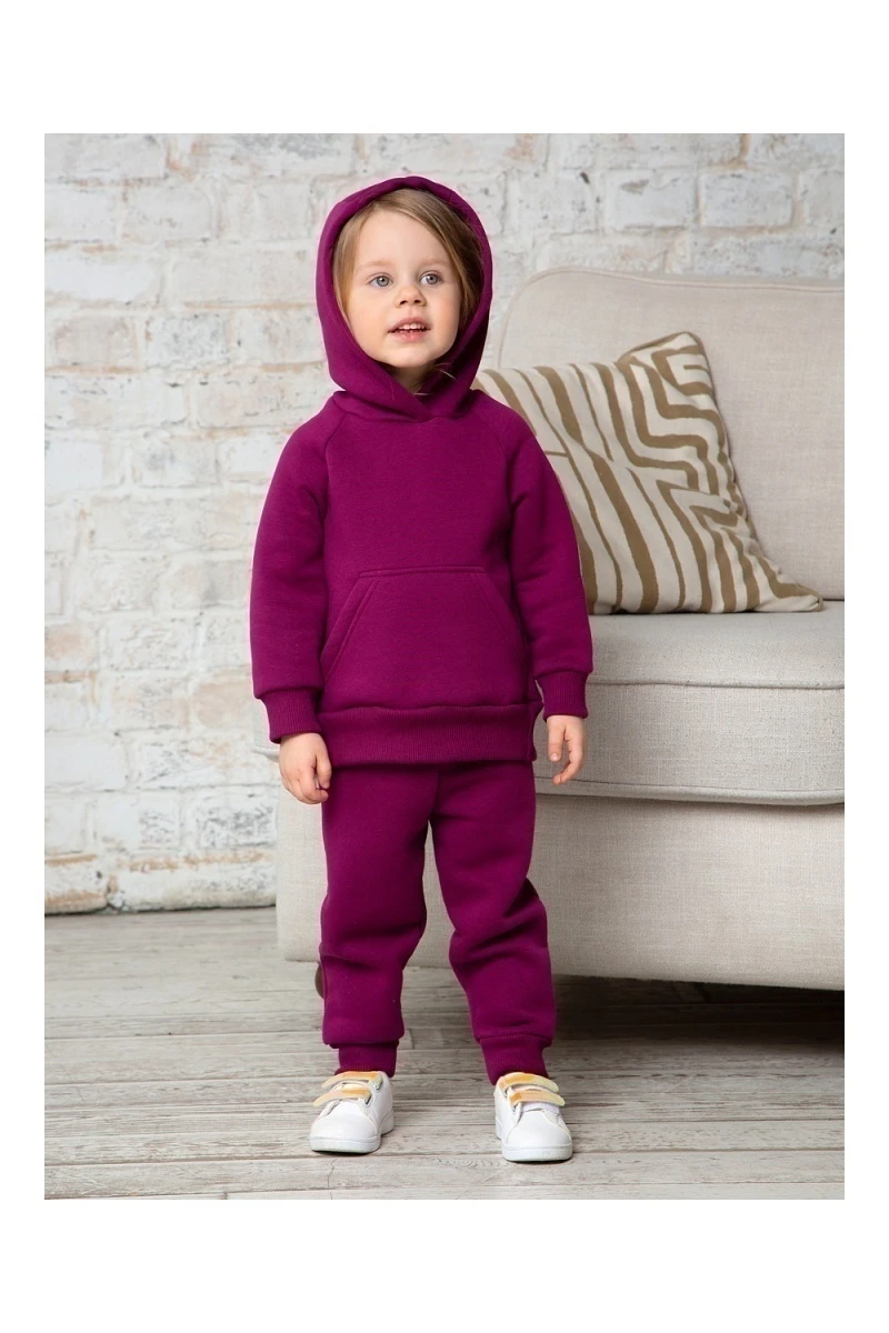 Костюм с брюками футер начёс Малинка 20338 (сливовый)