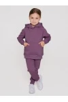 Костюм с брюками футер начёс Малинка 20338 (ежевичный)