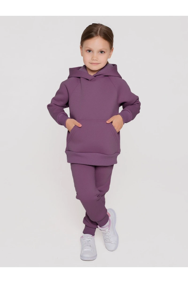 Костюм с брюками футер начёс Малинка 20338 (ежевичный)