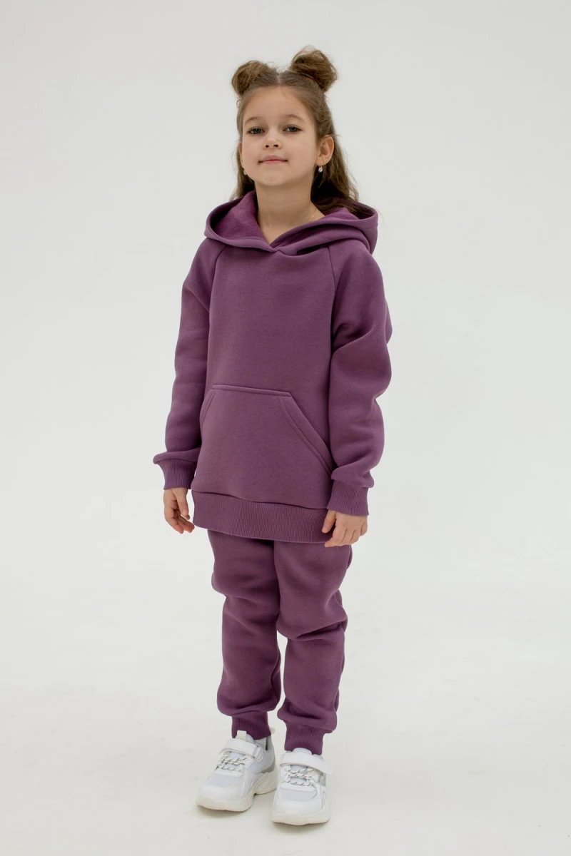 Костюм с брюками футер начёс Малинка 20338 (ежевичный)
