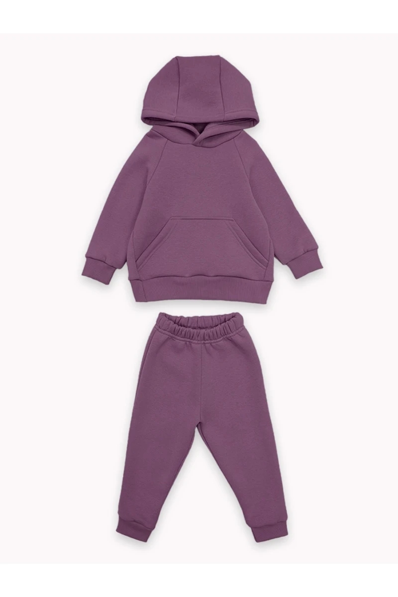 Костюм с брюками футер начёс Малинка 20338 (ежевичный)