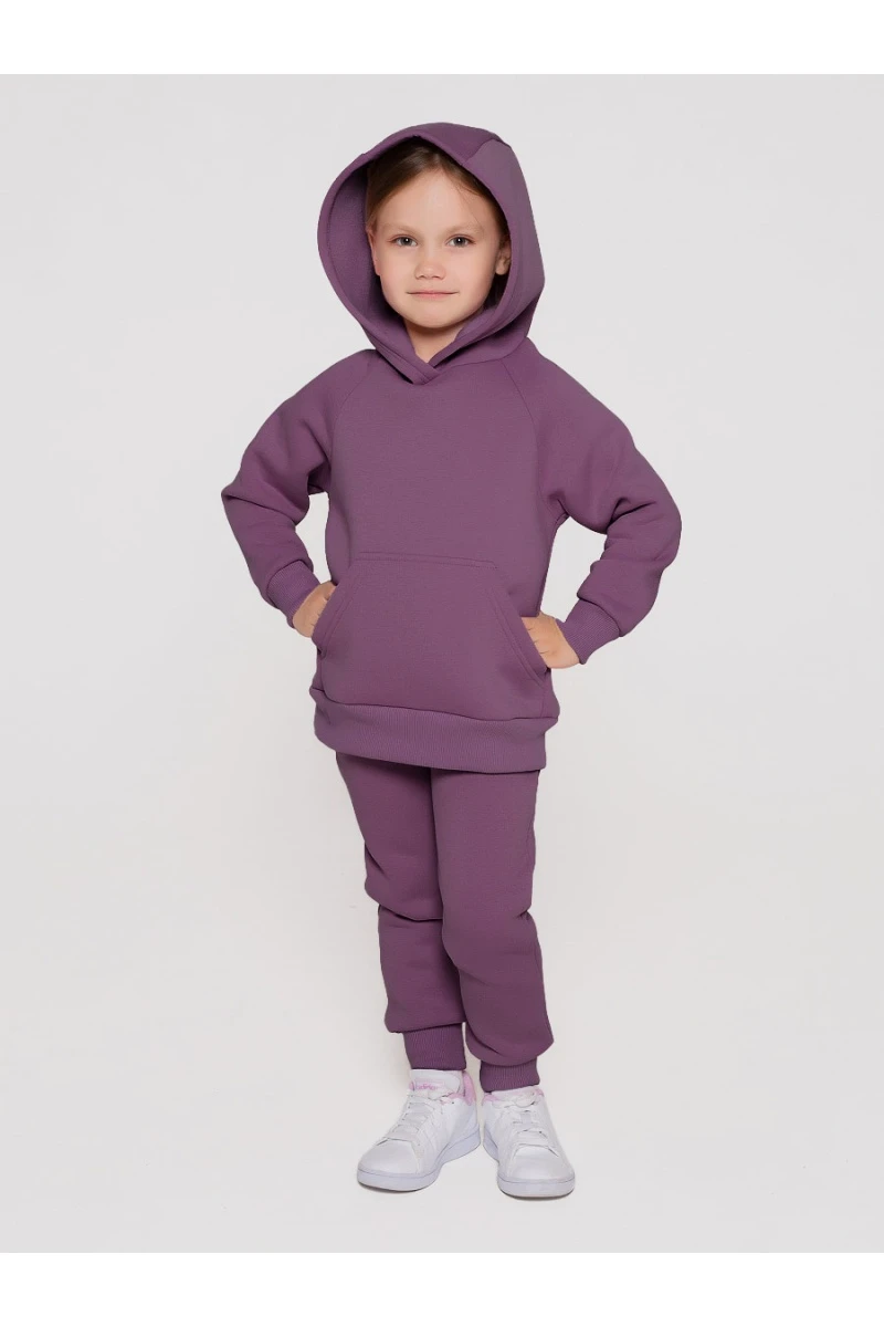 Костюм с брюками футер начёс Малинка 20338 (ежевичный)