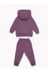 Костюм с брюками футер начёс Малинка 20338 (ежевичный)