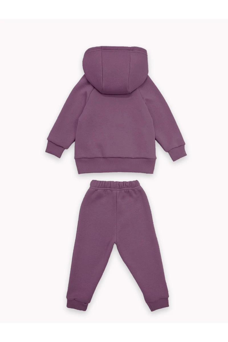 Костюм с брюками футер начёс Малинка 20338 (ежевичный)