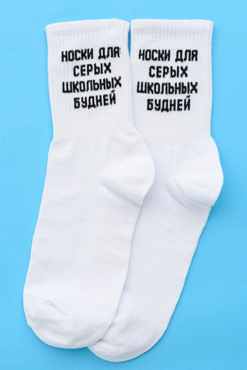 Носки стандарт Школьные будни (набор 2 пары) (белый)