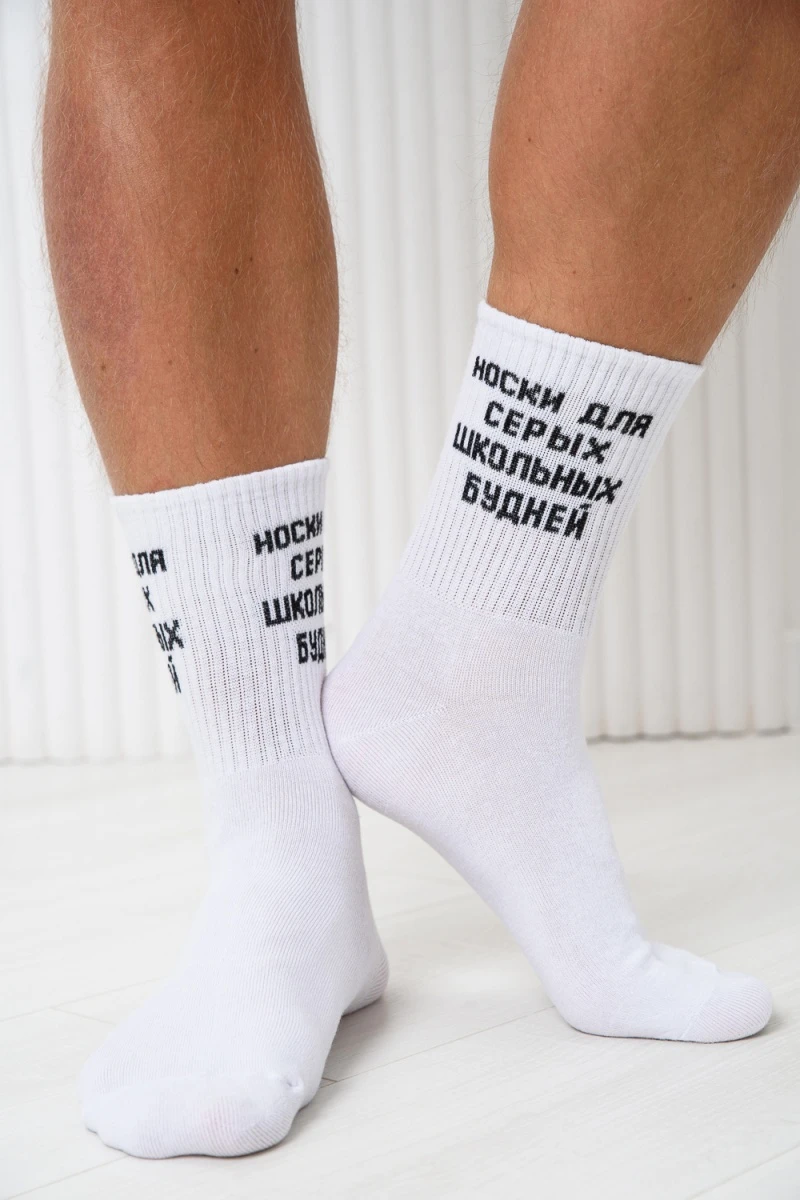 Носки стандарт Школьные будни (набор 2 пары) (белый)
