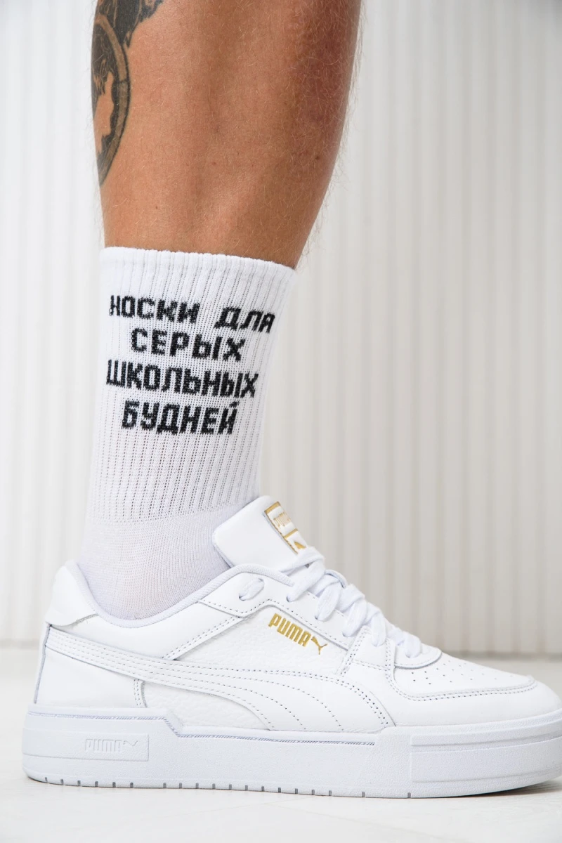 Носки стандарт Школьные будни (набор 2 пары) (белый)