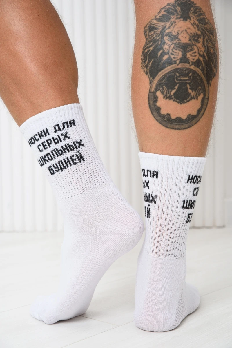 Носки стандарт Школьные будни (набор 2 пары) (белый)