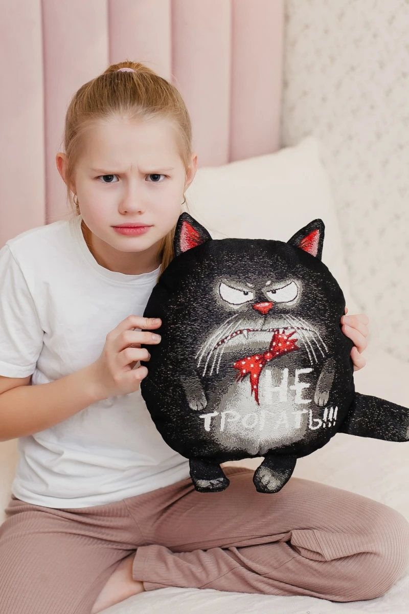 Подушка декоративная игрушка Кот обнимашка 27*27 (черный)