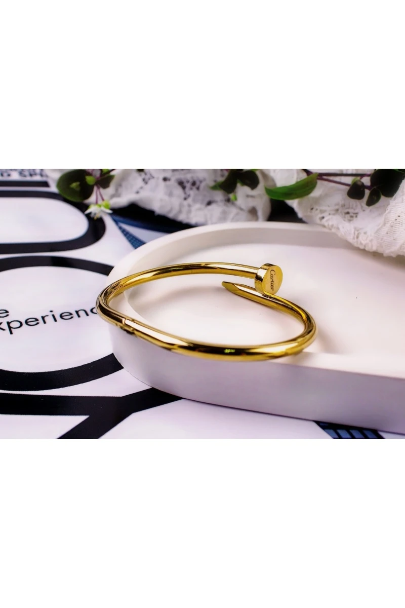 Браслет Гипоаллергенный из медицинского сплава, в стиле Картье Гвоздь + Подарок, в подарочном мешочке (золото)