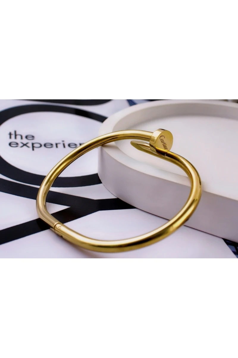 Браслет Гипоаллергенный из медицинского сплава, в стиле Картье Гвоздь + Подарок, в подарочном мешочке (золото)