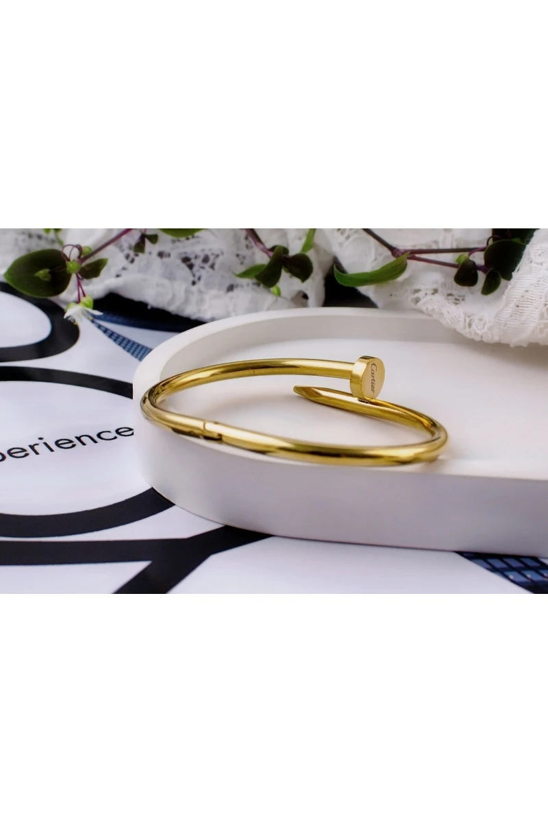 Браслет Гипоаллергенный из медицинского сплава, в стиле Картье Гвоздь + Подарок, в подарочном мешочке (золото)