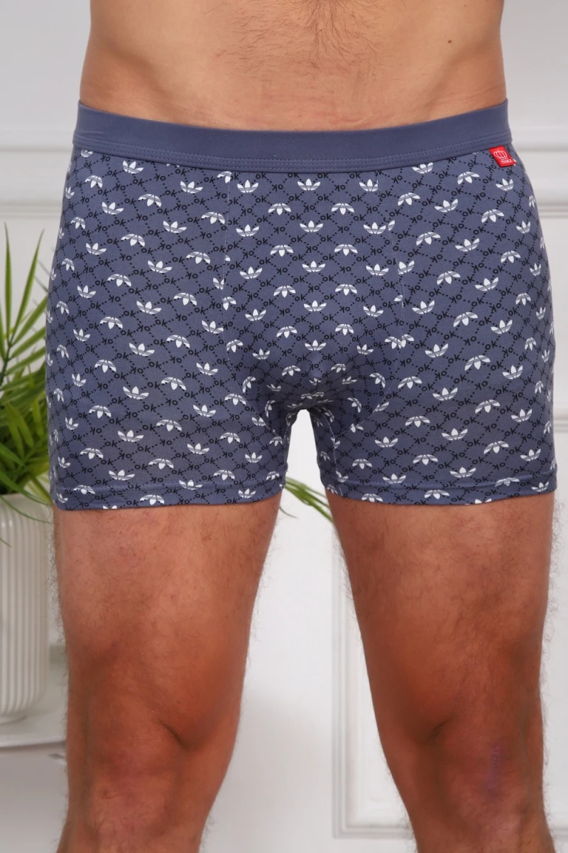 Трусы 64875 (мультицвет)