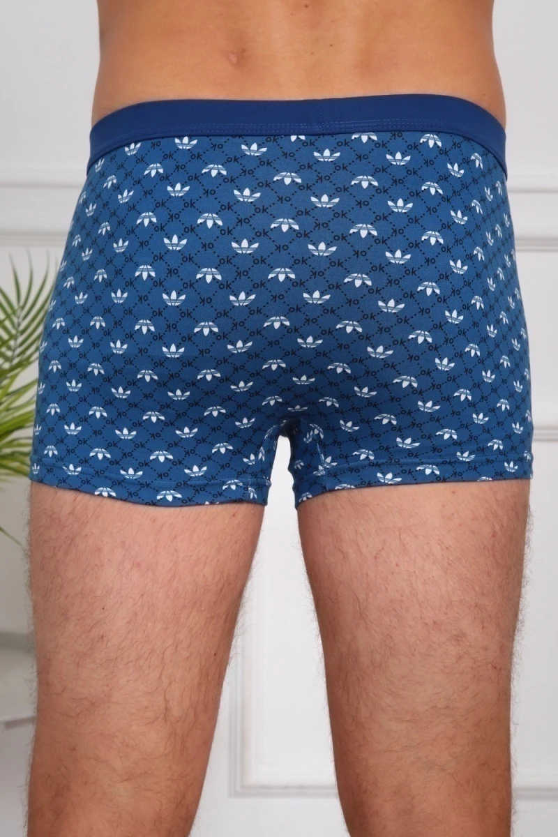 Трусы 64875 (мультицвет)