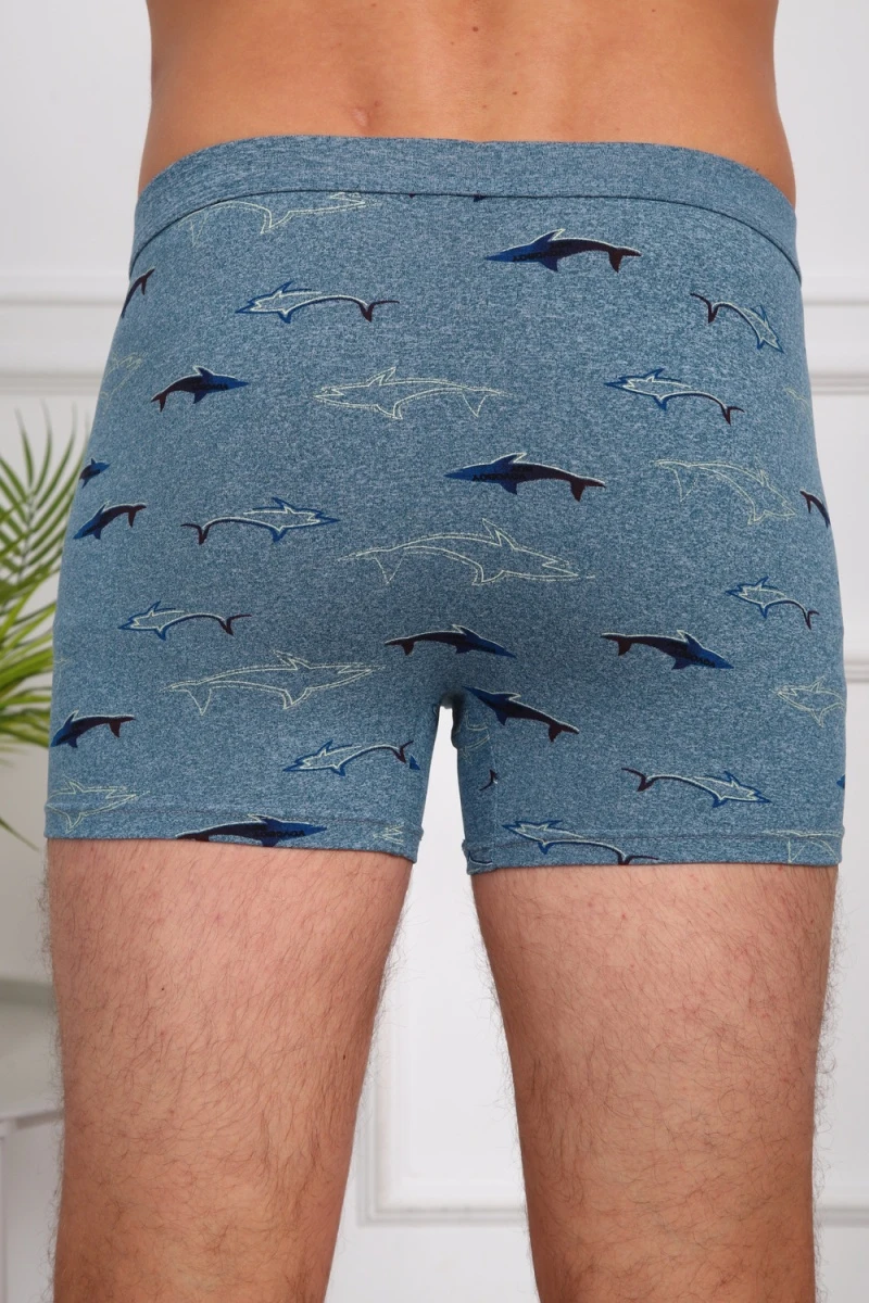 Трусы 64877 (мультицвет)