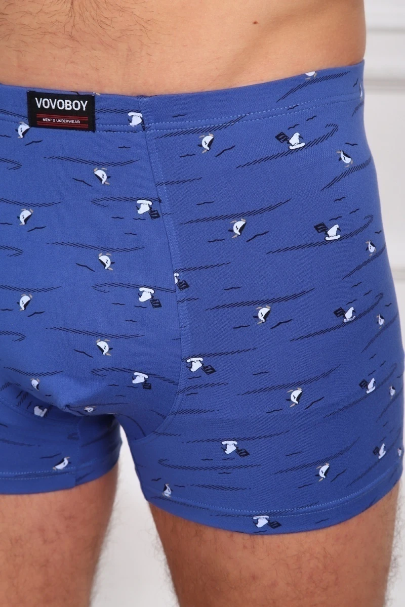 Трусы 64876 (мультицвет)