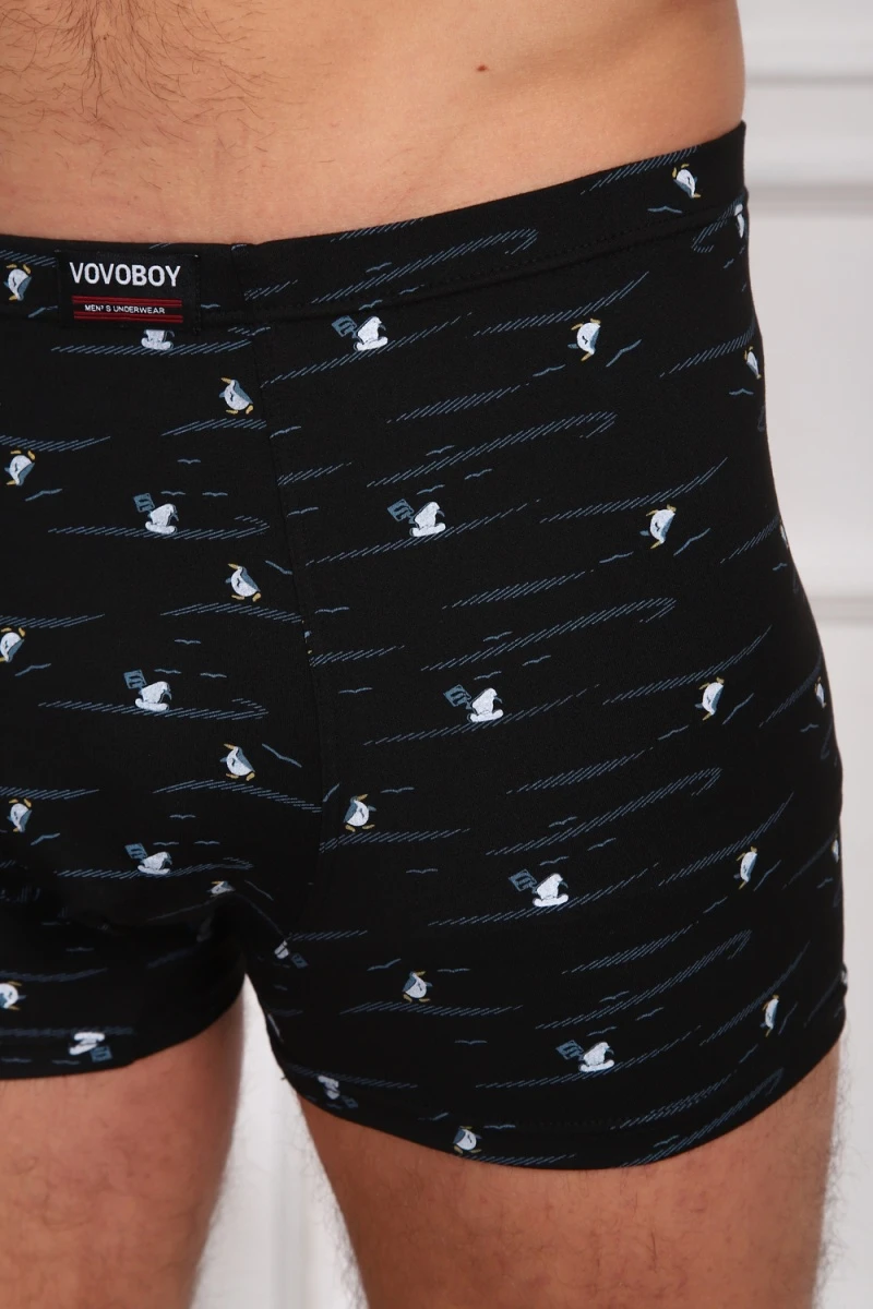 Трусы 64876 (мультицвет)