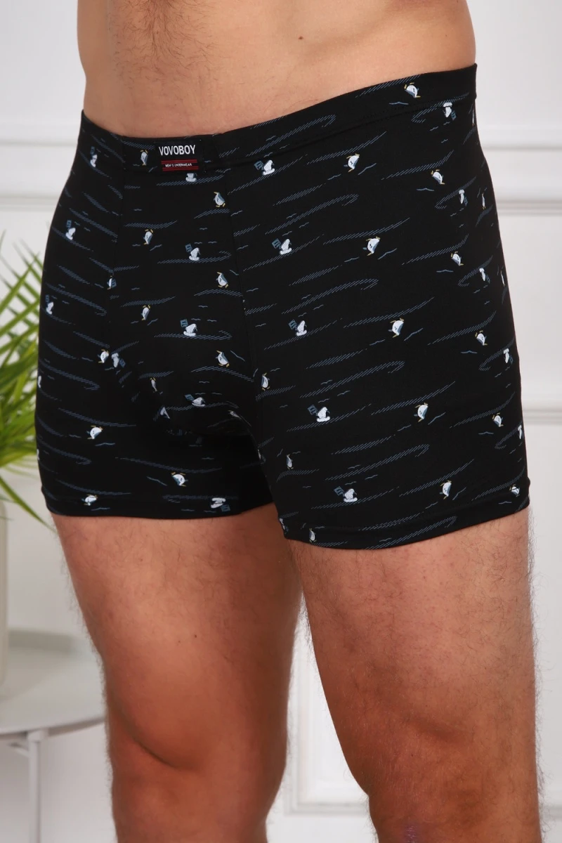 Трусы 64876 (мультицвет)