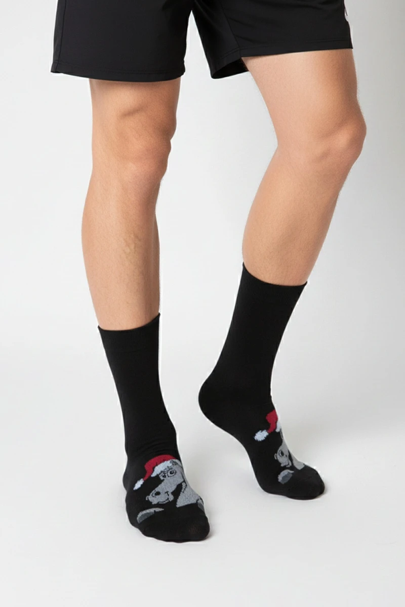 Носки стандарт Лукас (черный)