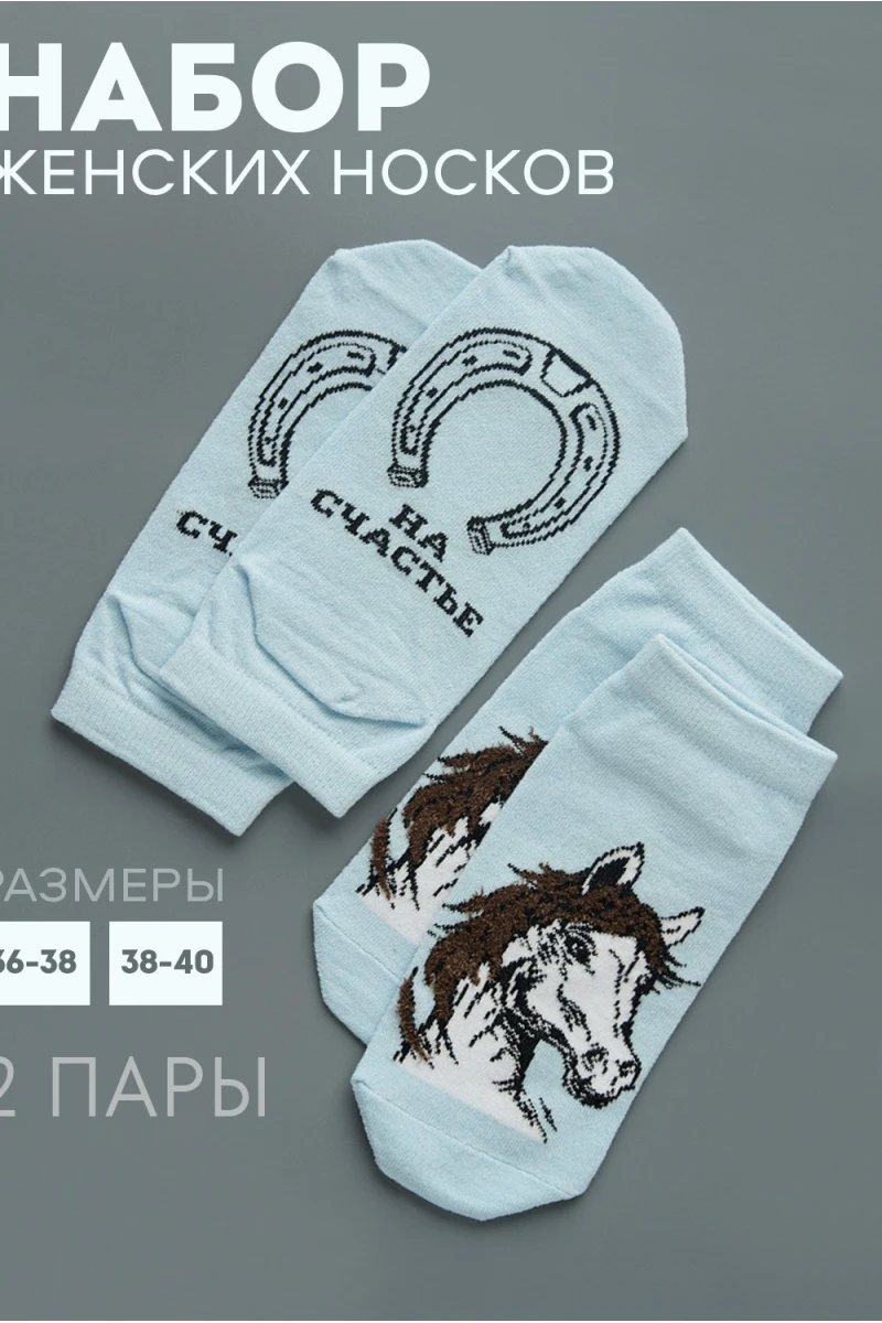 Носки стандарт Подкова (набор 2 пары) (голубой)