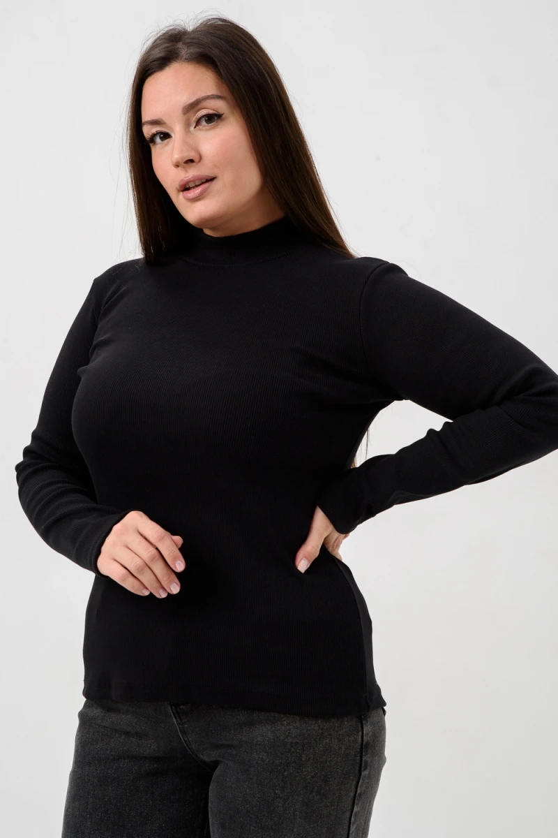 Водолазка 52713 (черный)