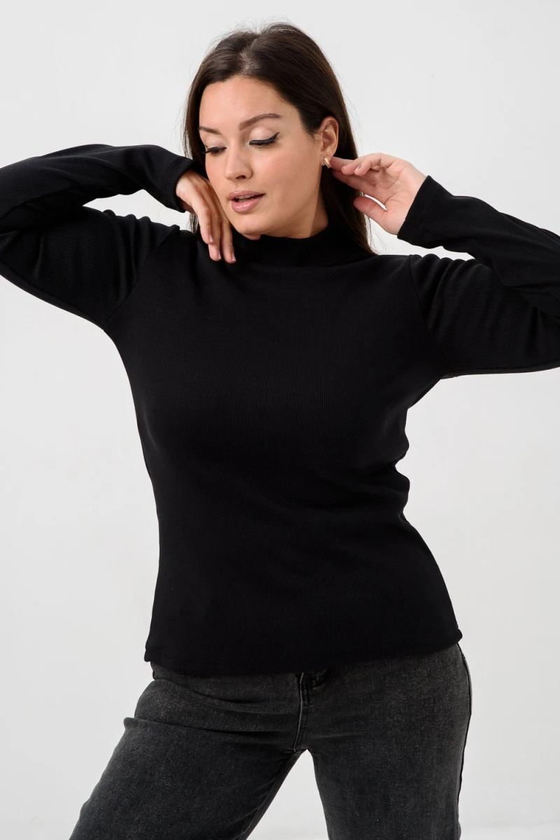 Водолазка 52713 (черный)