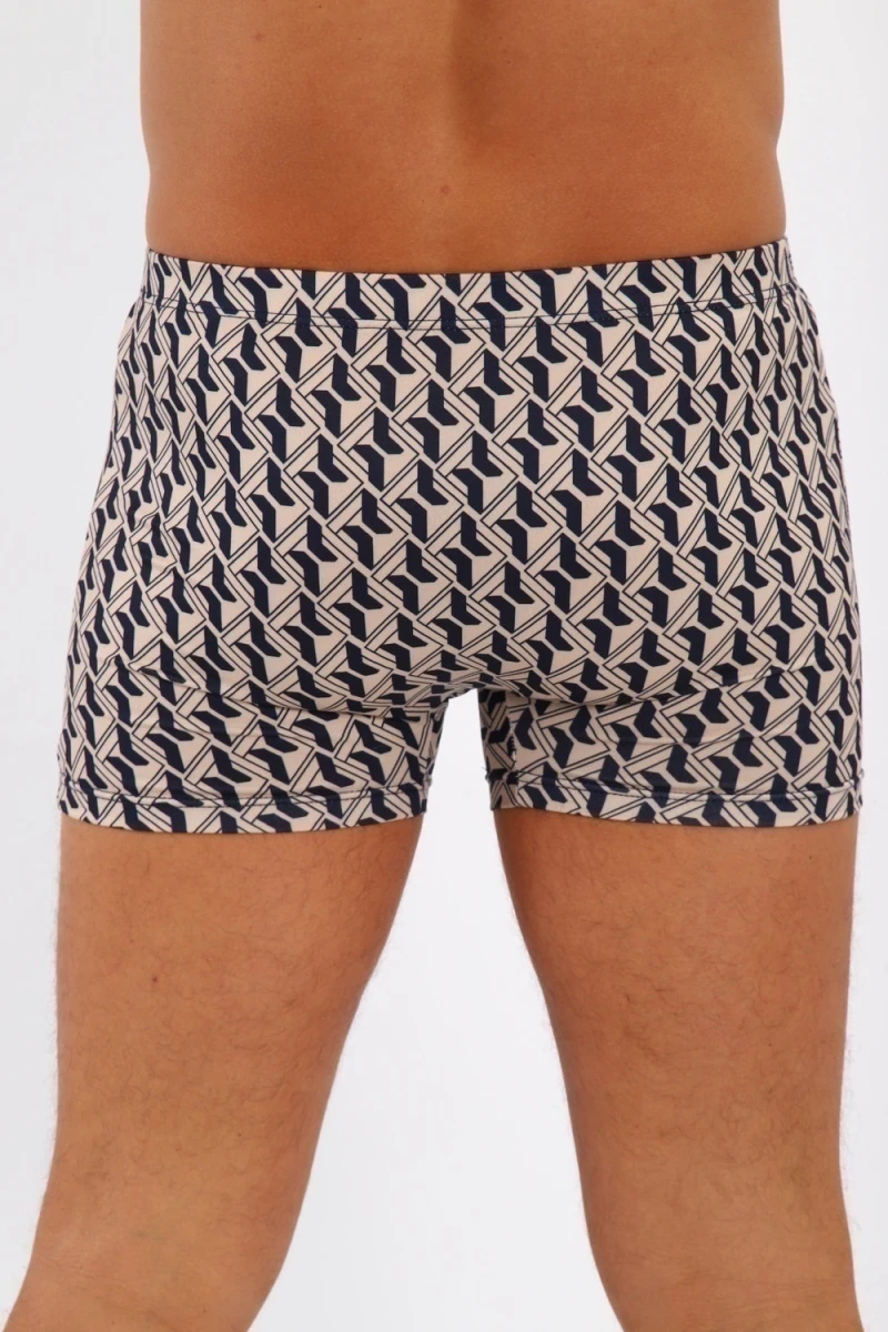 Трусы 45055 (микс)