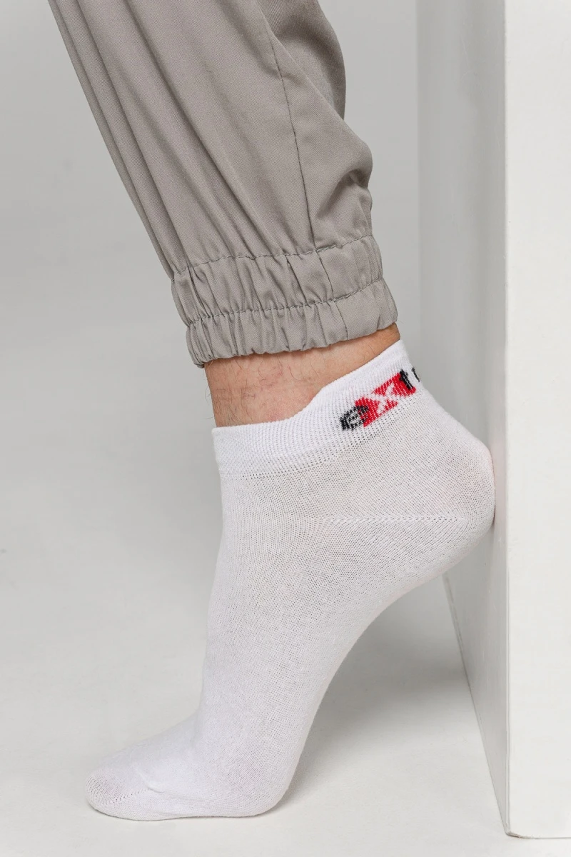 Носки стандарт Импульс (набор 10 пар) (белый)